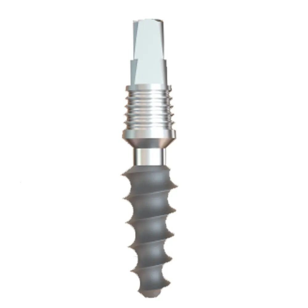 GS Implants Rough 4.7mm