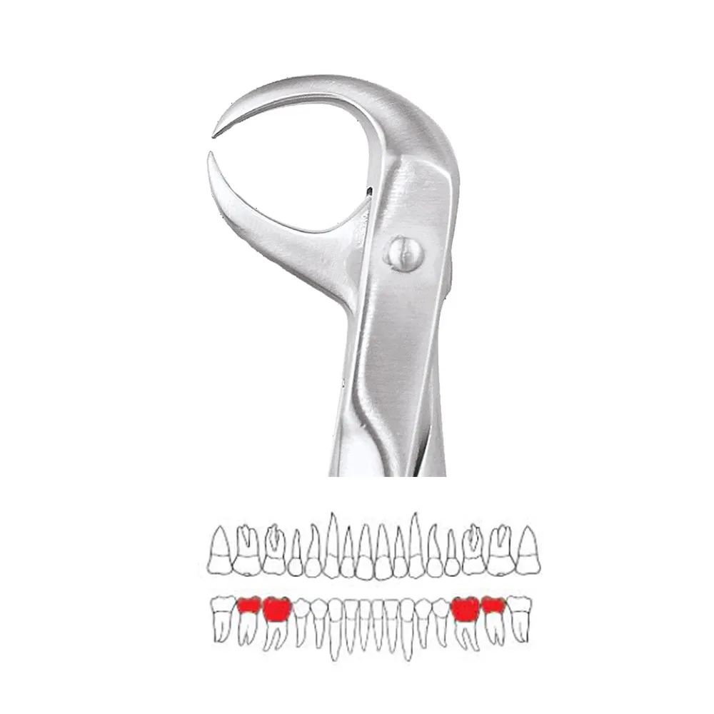 GDC Extraction Forceps Lower Molars - 86 Standard (FX86S)