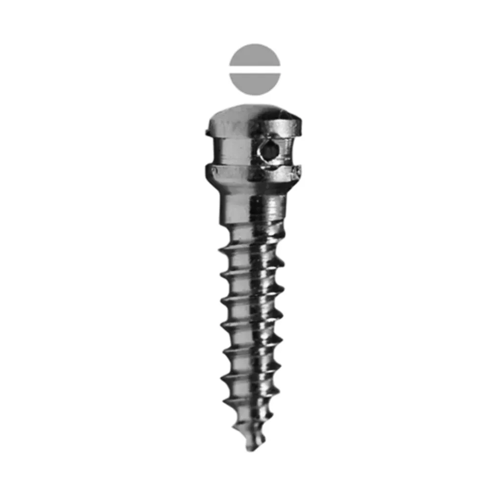 SK Surgicals SS IMF Screws