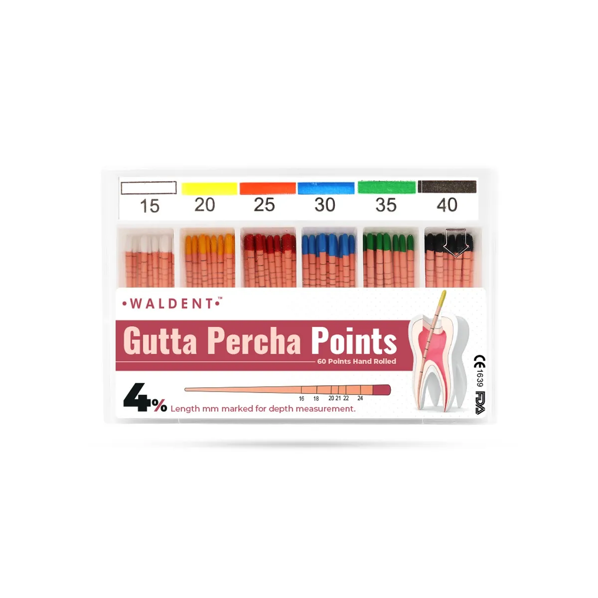 Waldent Gutta Percha Points 4% (Length Marked) #15-40