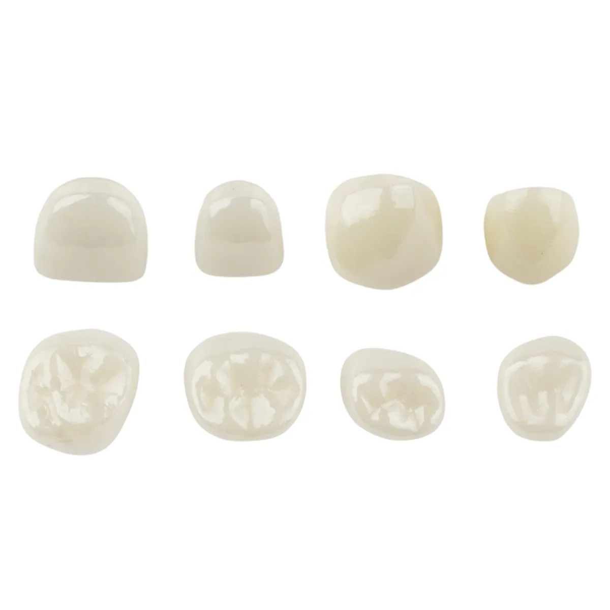 Kids-e-Crown Anterior Master Kit -Universal Canines & Incisors