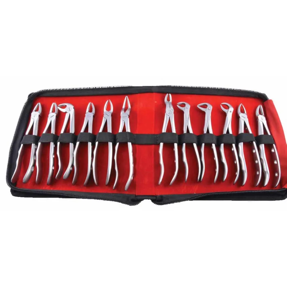 GDC Extraction Forceps Ergonomic In Pouch Premium (EFEP12)