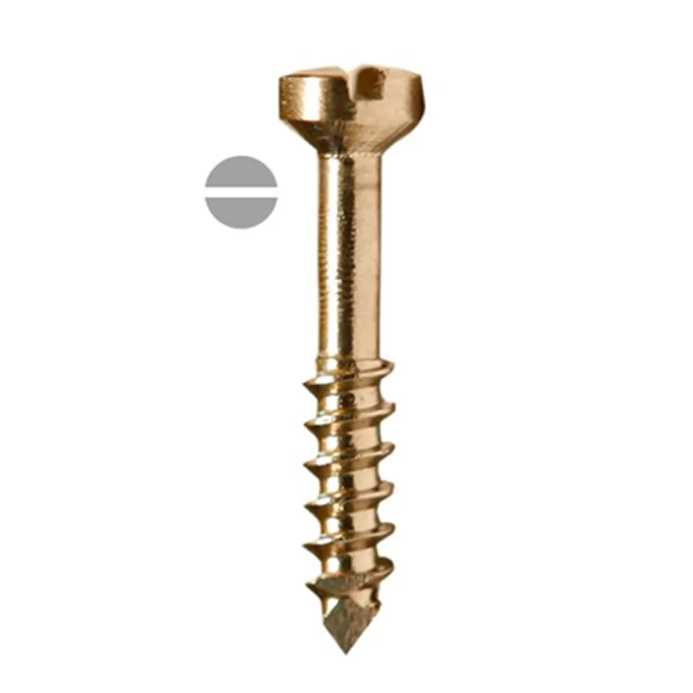 SK Surgicals SS Lag Screws - 2.5mm
