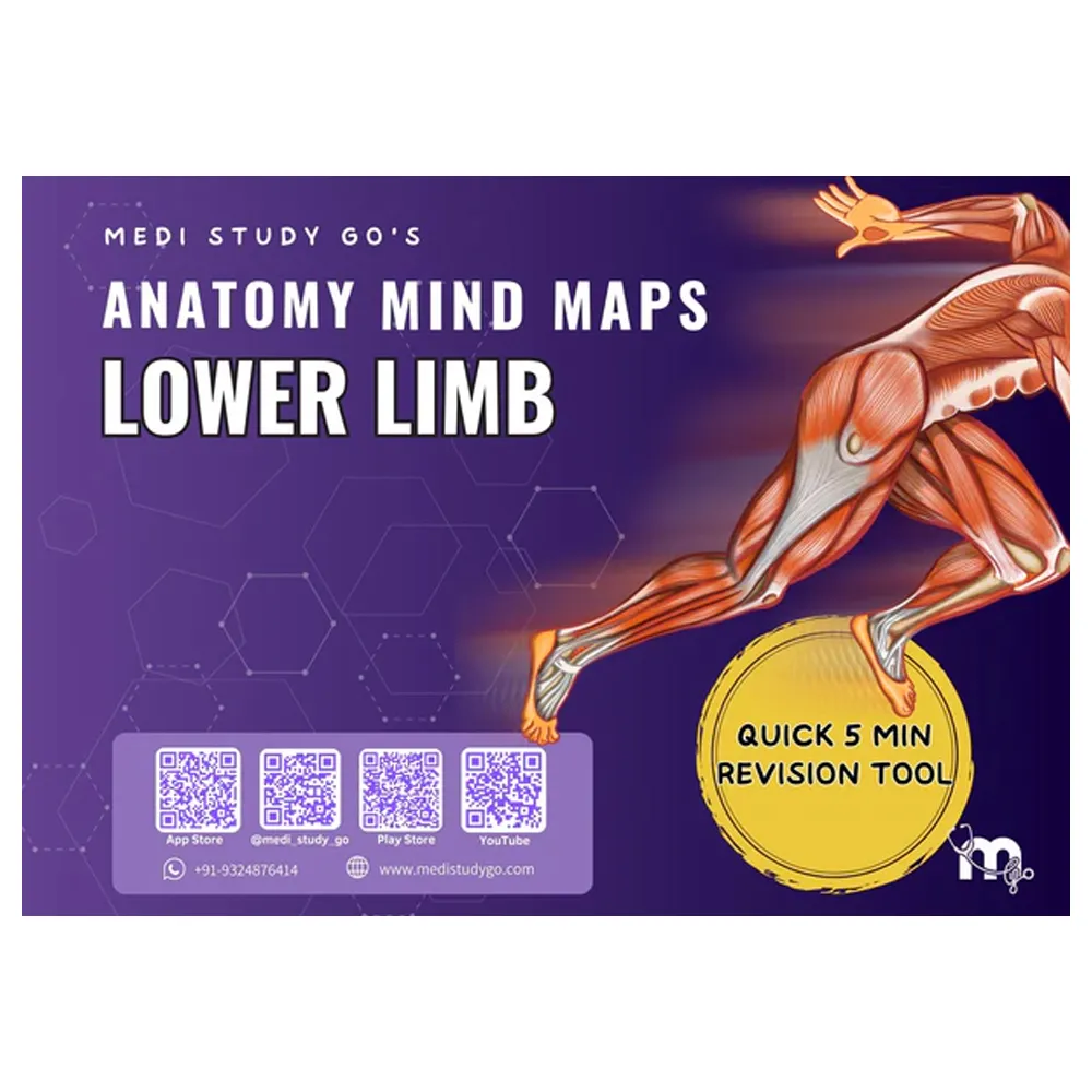 Medi Study Go Lower Limb Anatomy Mind Maps