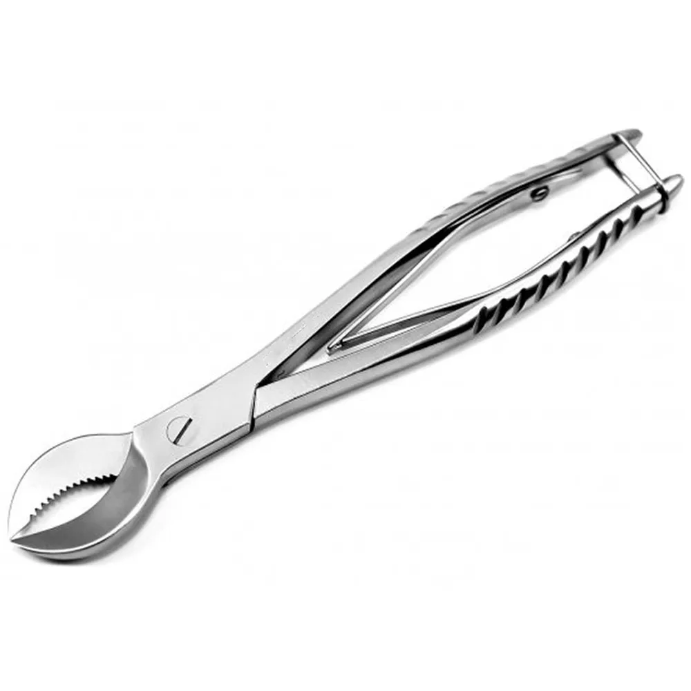 GDC Plaster Shears (210mm) (Pcs)