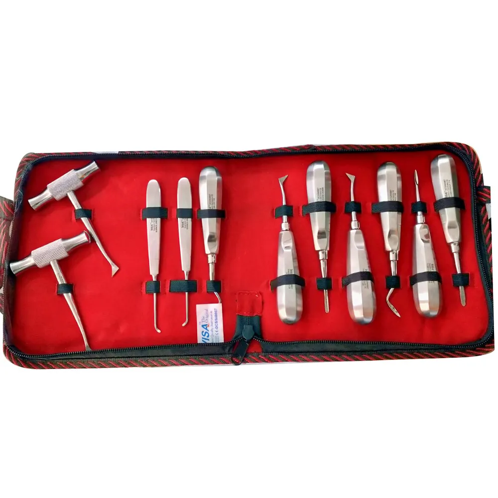 Visa Germany Elevator Kit of 11