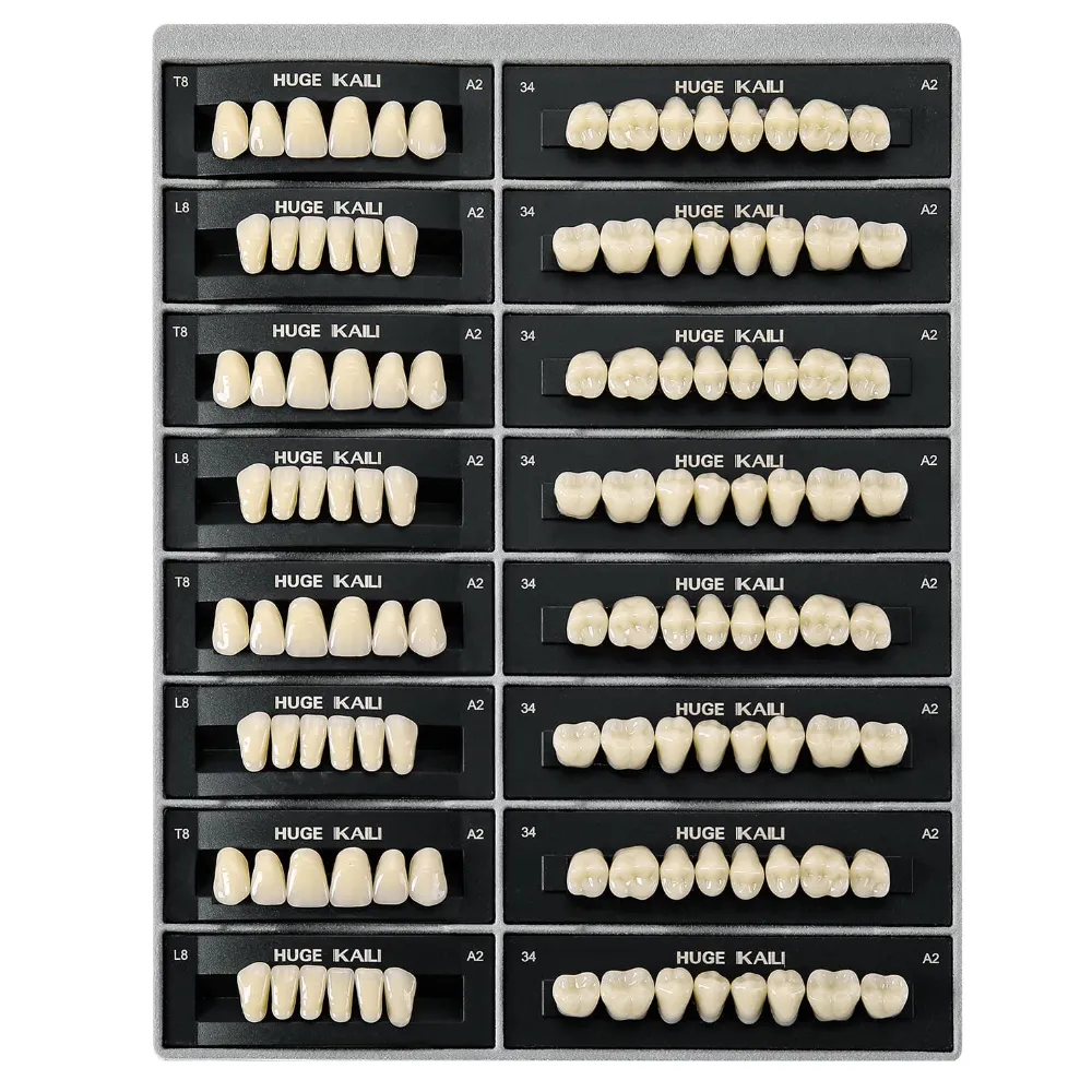 Huge Dental Kaile Acrylic Denture Teeth A2 (Pack of 4 Sets)