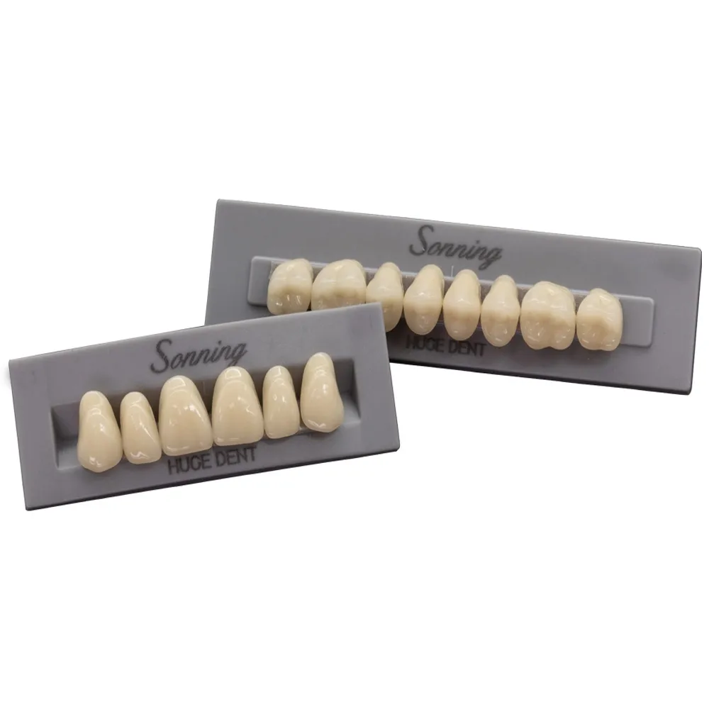 Huge Dental Sonning Acrylic Denture Teeth A3 