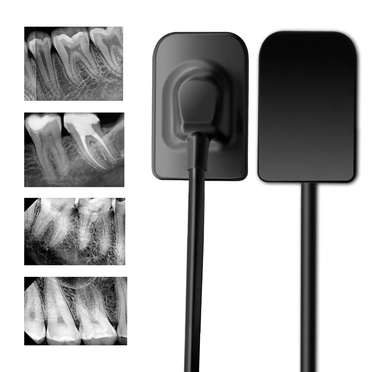 Waldent Carpo RVG V-Sensor