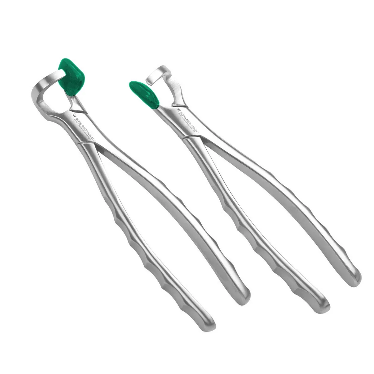 Waldent Physics Forceps Set of 2 K1/4 