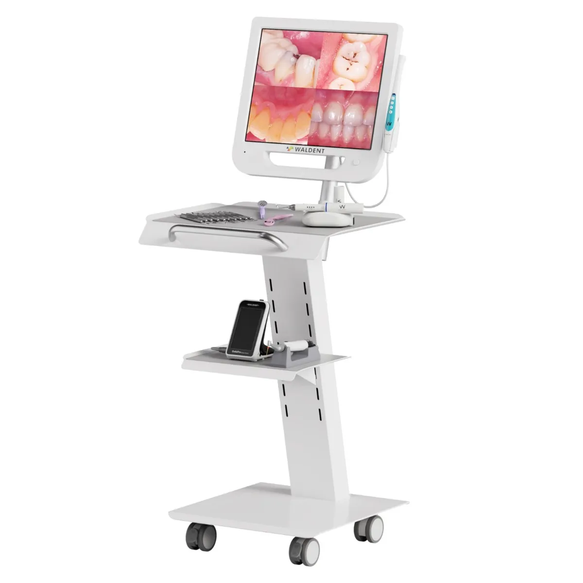 Waldent Heavy-Duty Dental Utility Trolley with Intraoral Camera Mount