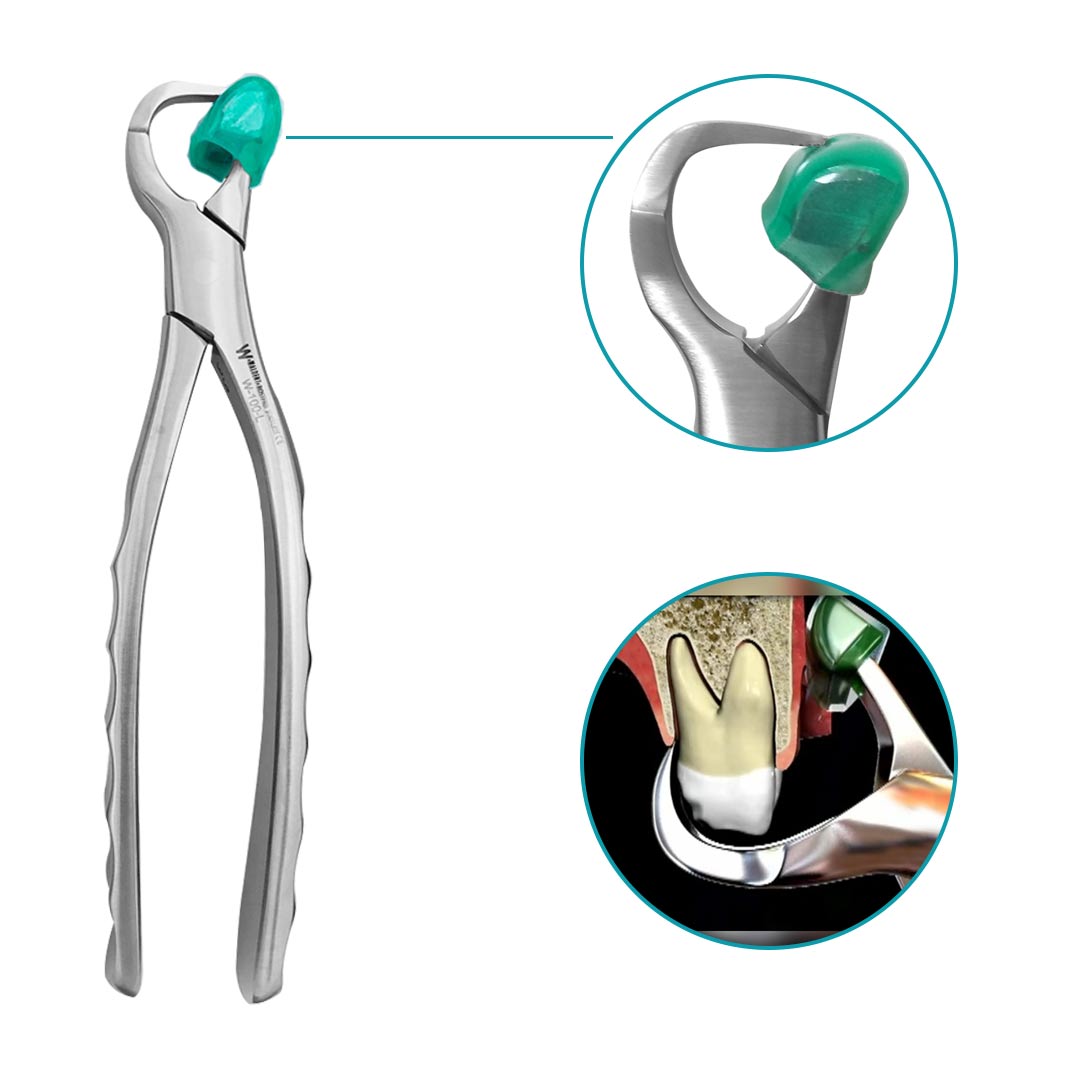 Waldent Physics Forceps - Pack of 1 W-100-L 1/139