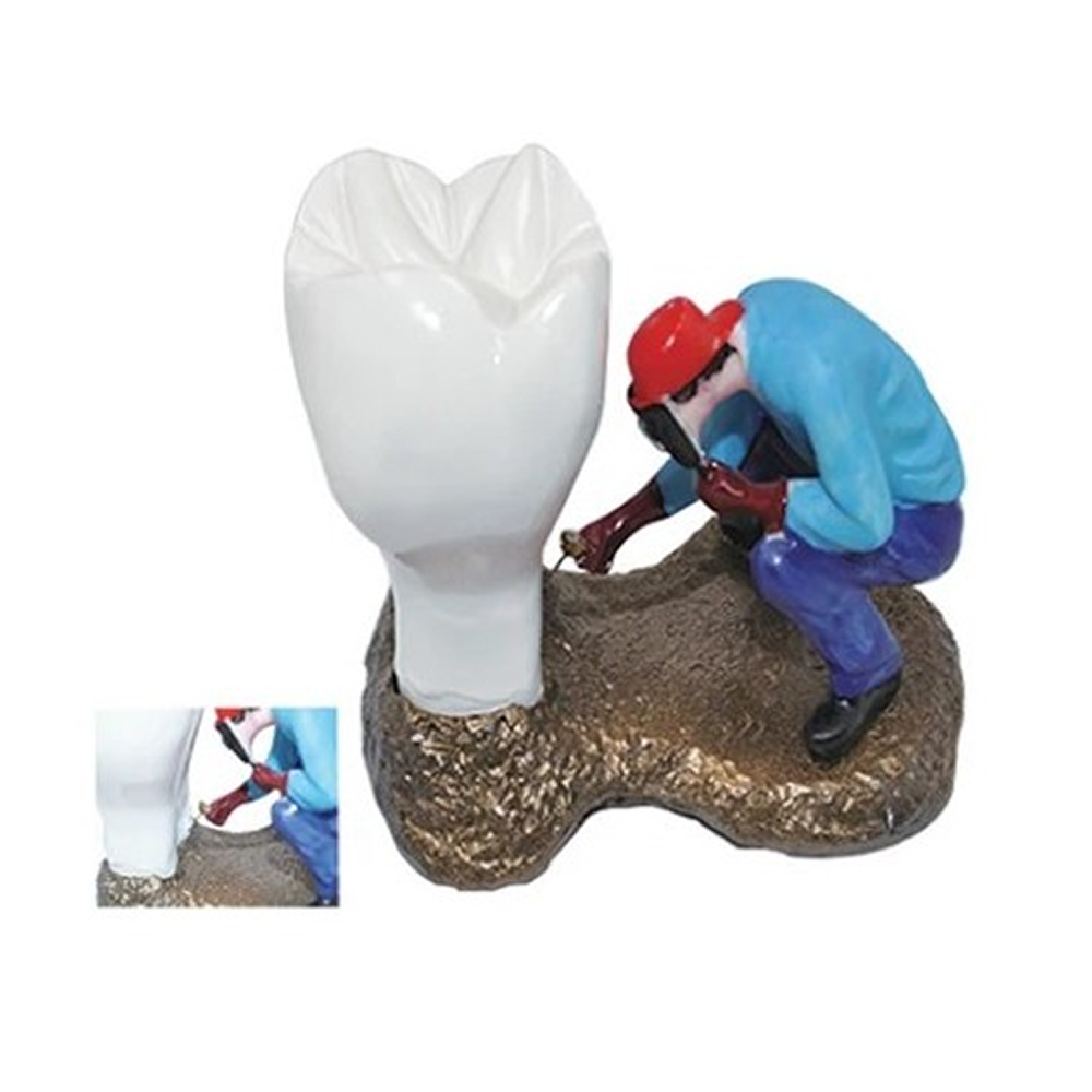 Dental Model With Craftsman MD-115