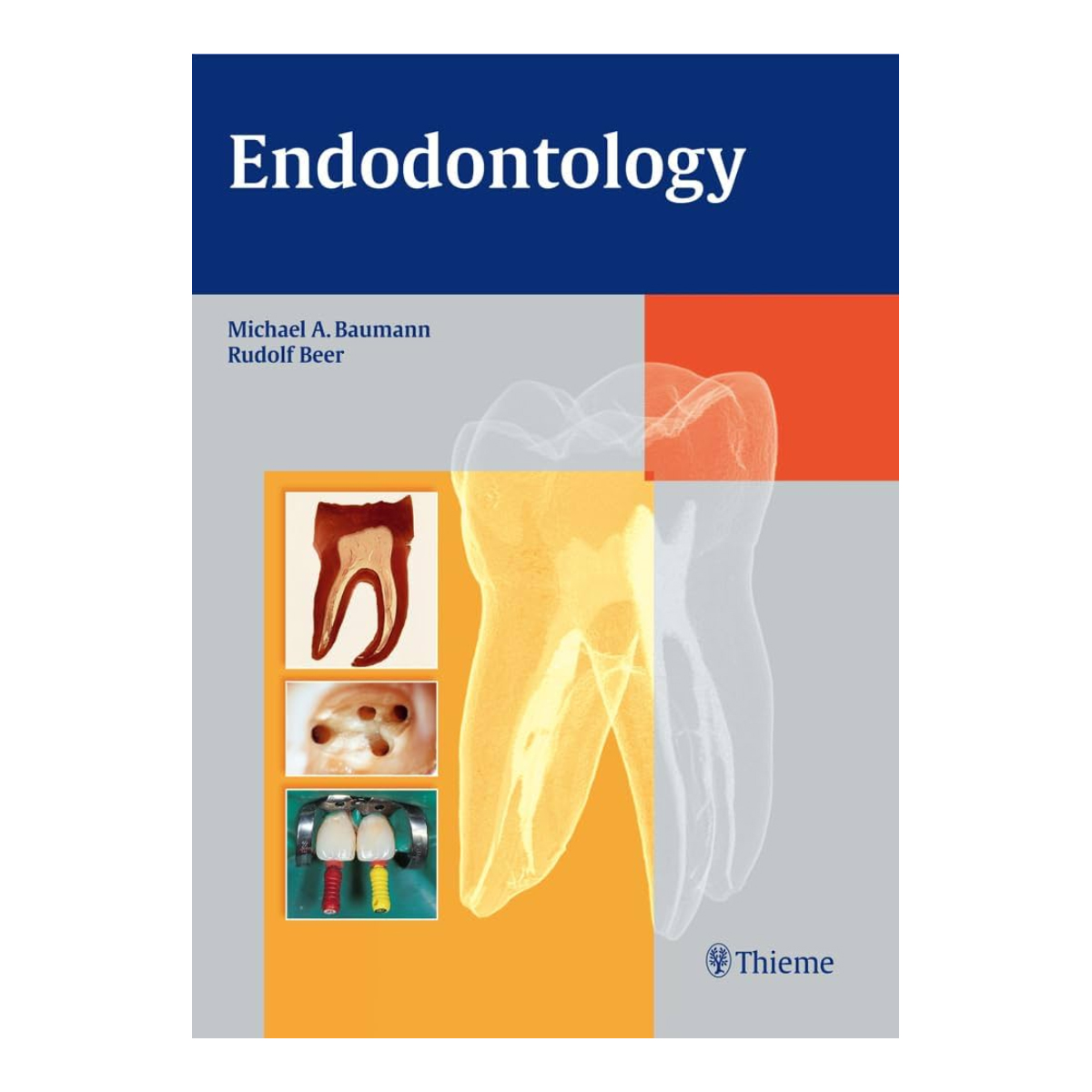 Endondontology (ISBN - 164629)