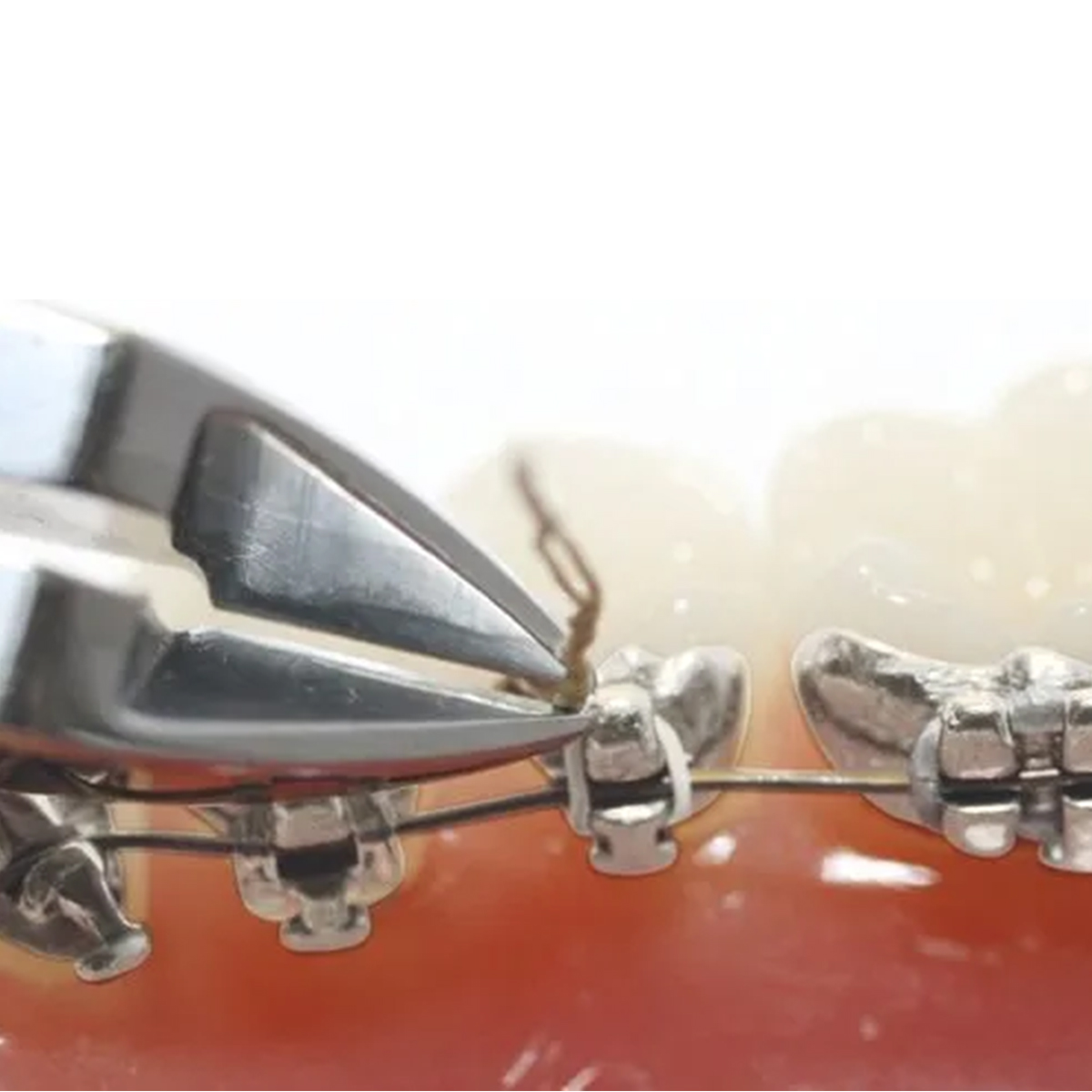 OSL Pin and Ligature Cutter 50° Angled