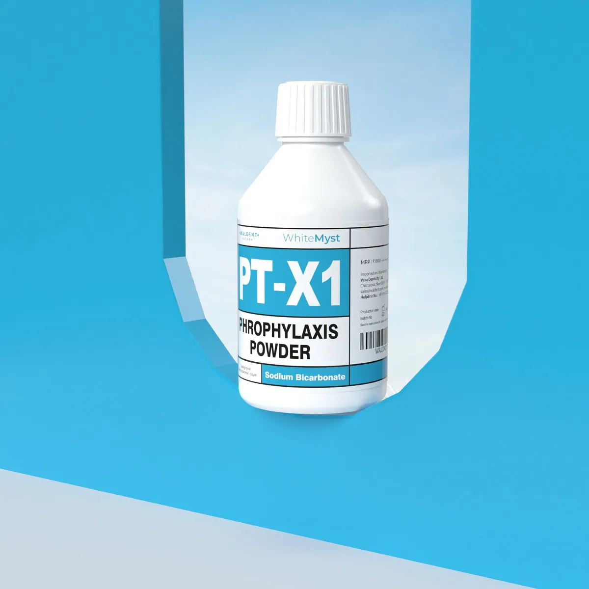 Waldent WhiteMyst Prophylaxis Powder 300g PTX1