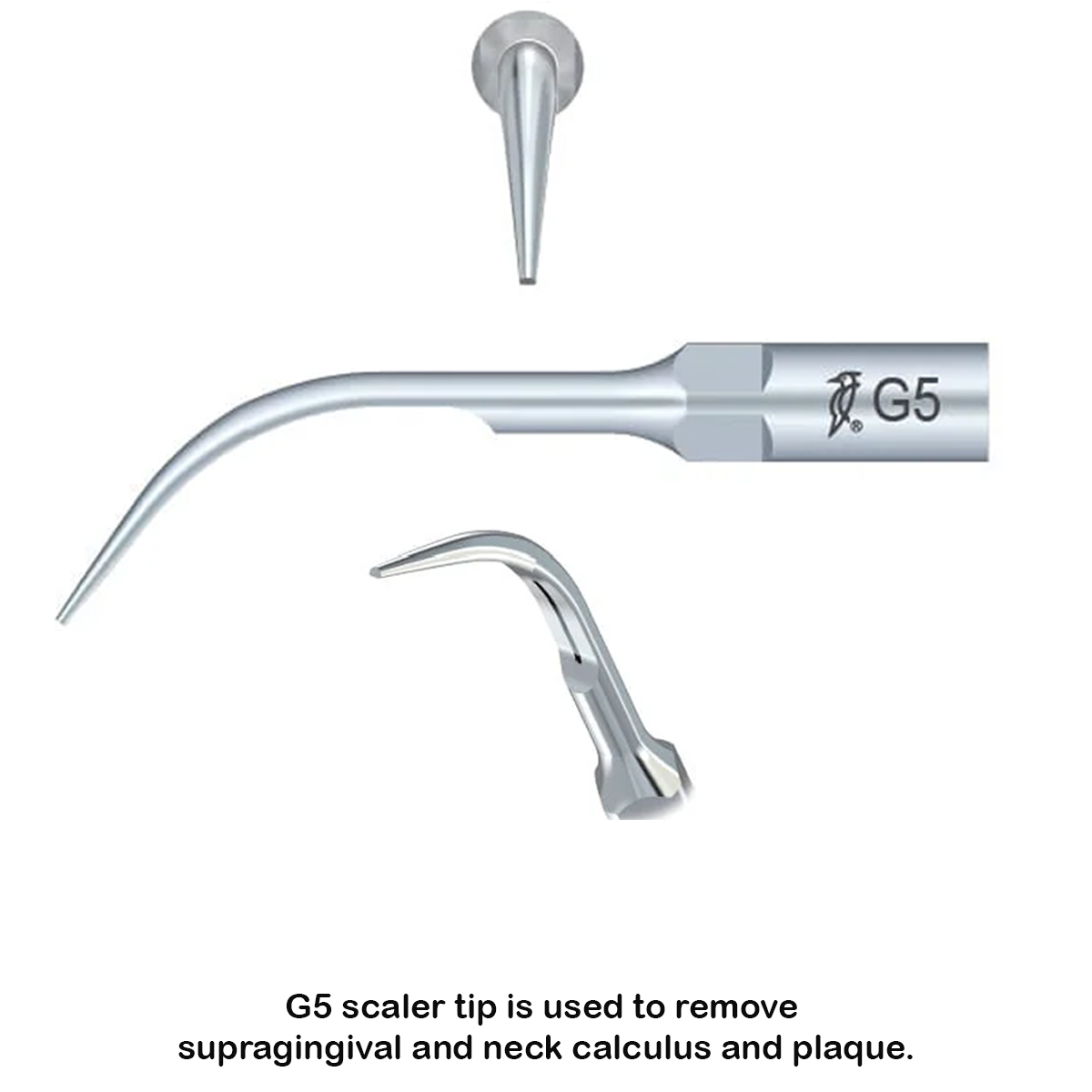 Woodpecker Scaler Tip G5 for UDS & EMS Scalers