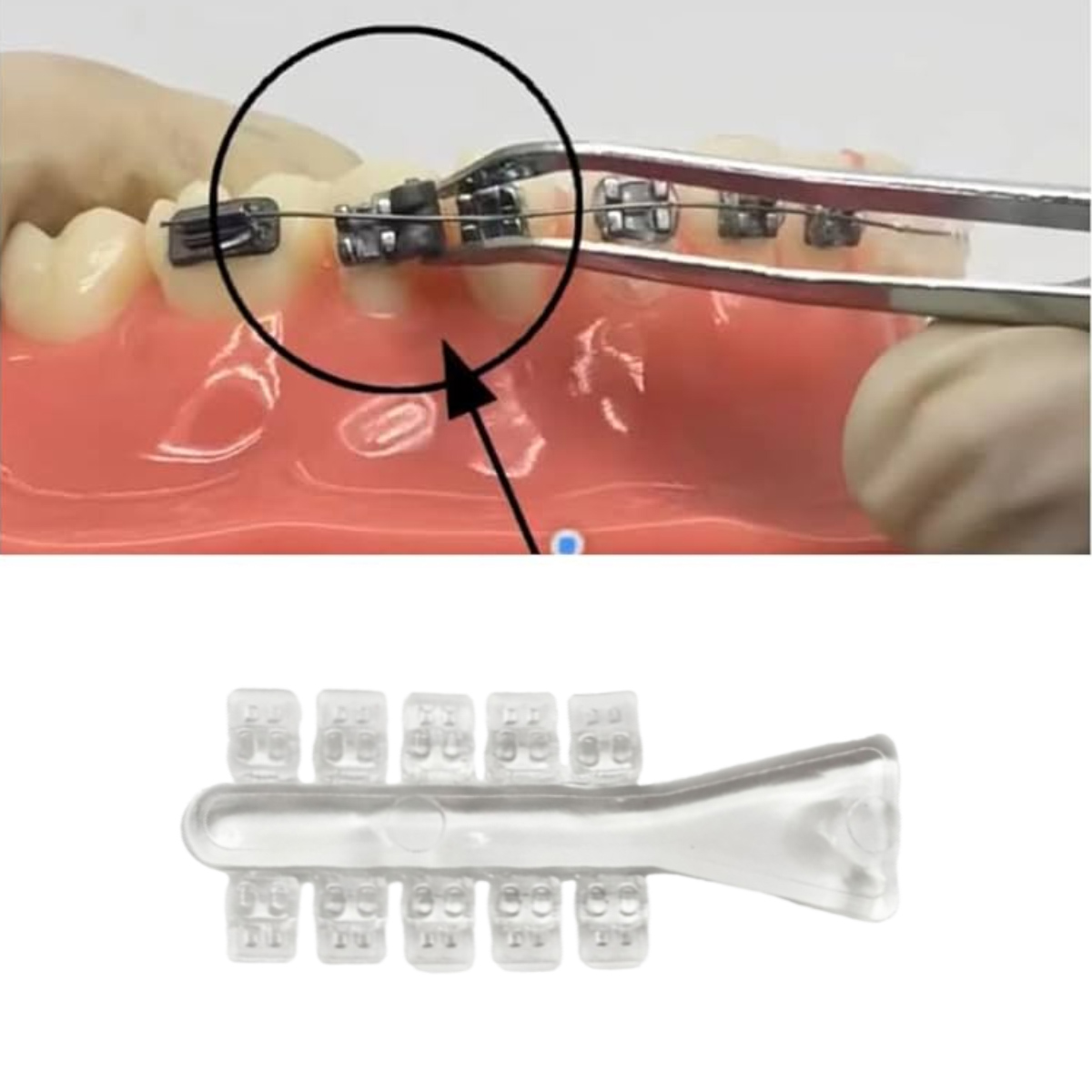 Rotating Wedge Dental Wax Knife Orthodontics Dental Instruments Dental Rotation Wedges ...
