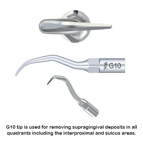 Woodpecker Scaler Tip G10 for UDS & EMS Scalers 