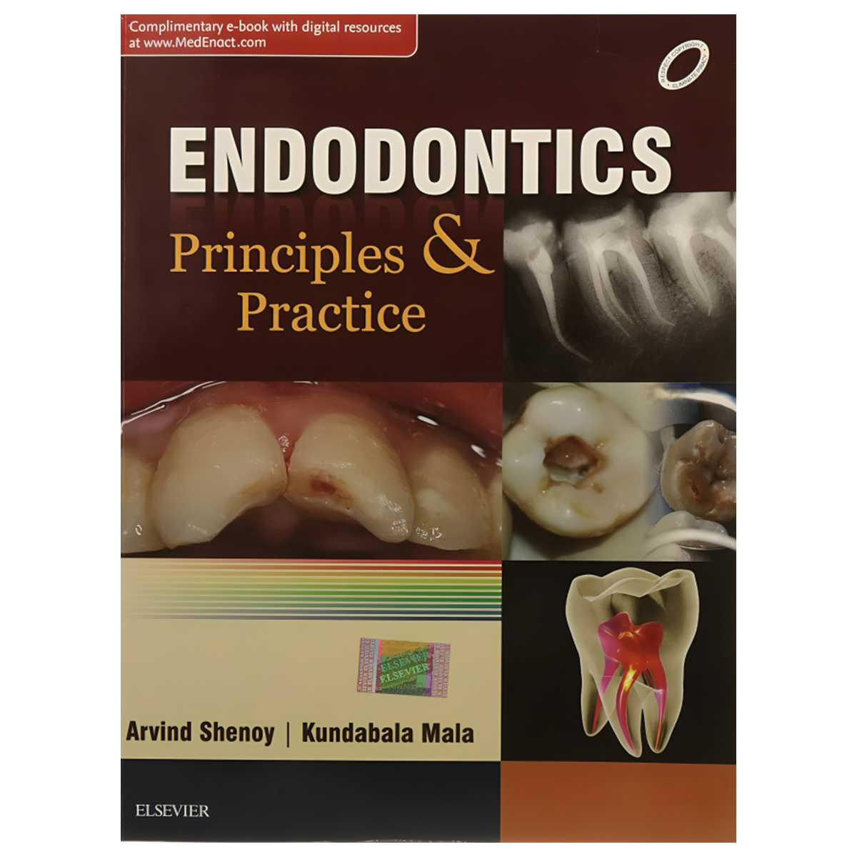 Endodontics: Principles And Practice (ISBN - 244487)