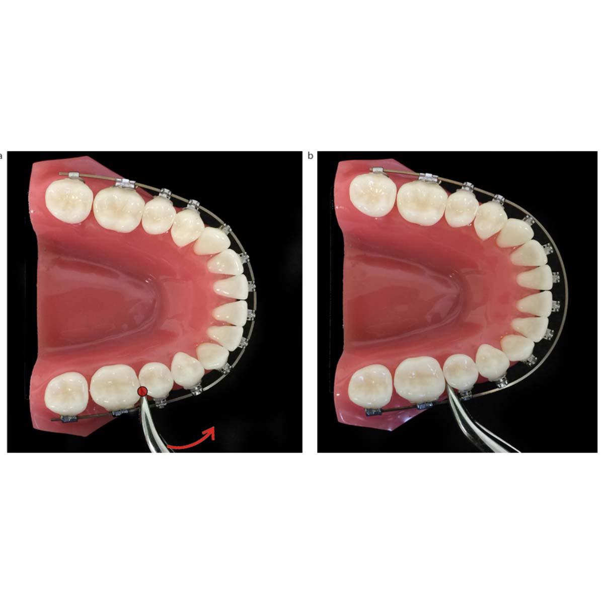 OrthoMetric SS Archwires - Square (10/Pk)