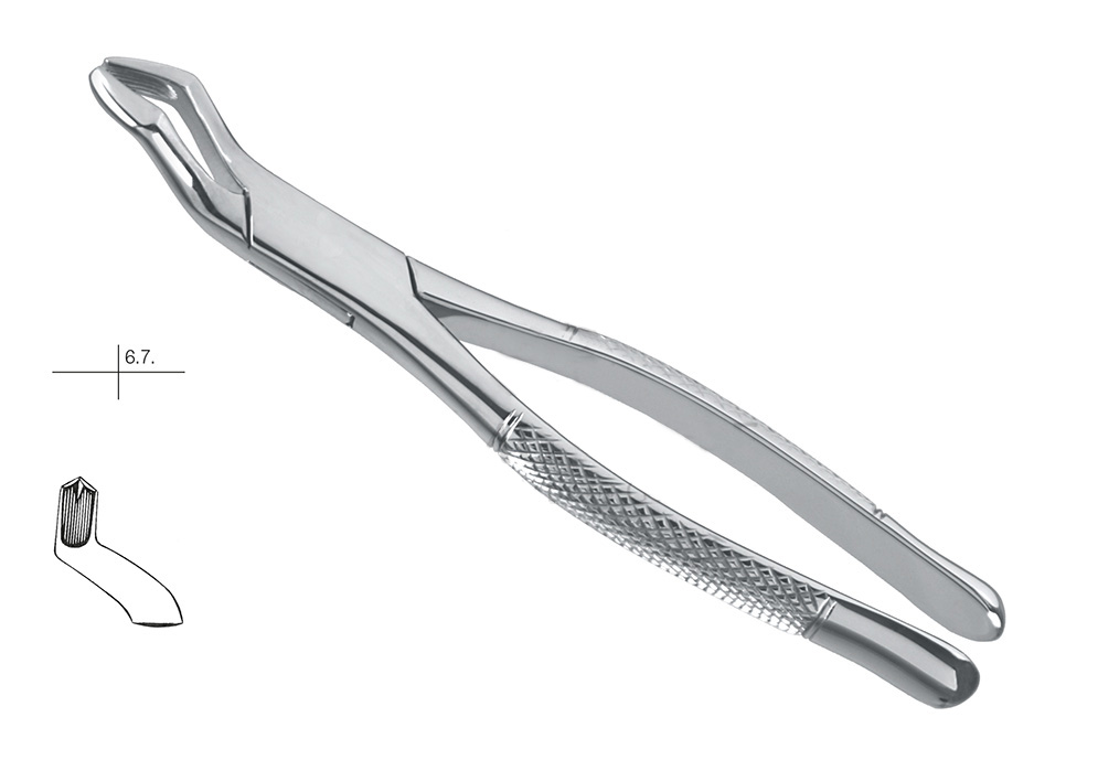 GDC American Extraction Forceps