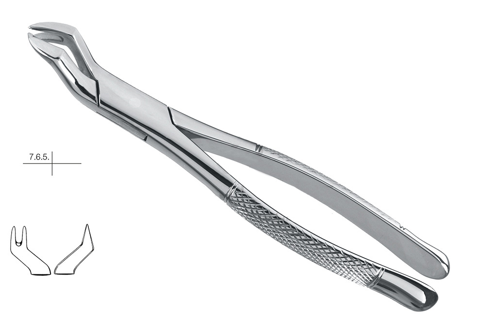 GDC American Extraction Forceps