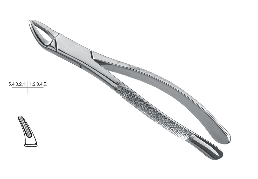 GDC American Extraction Forceps