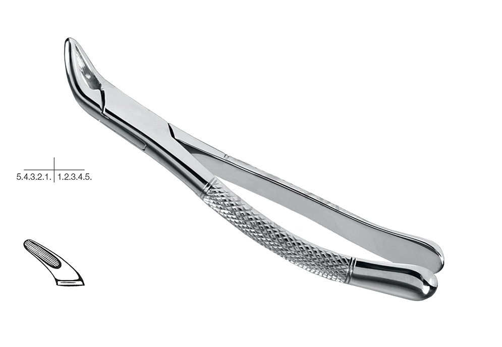 GDC American Extraction Forceps