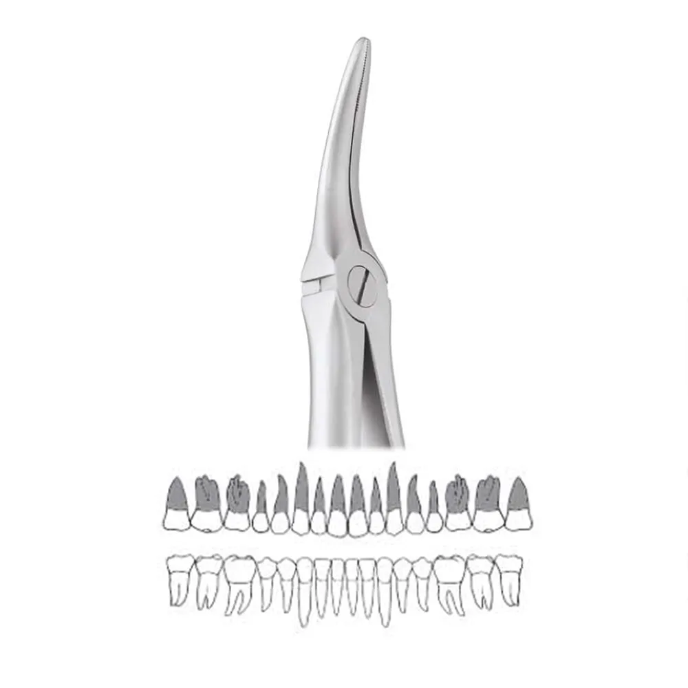 GDC Extraction Forceps Upper Roots - 149.11 Secure (SFX149.11)
