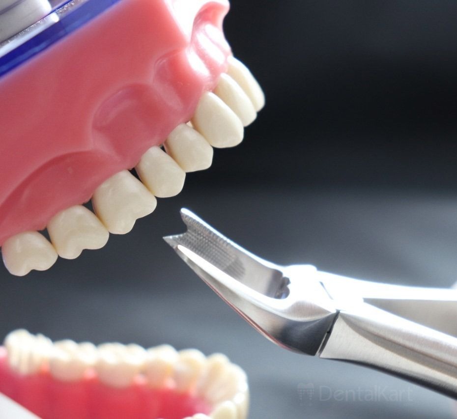 Waldent Tooth Extraction Cowhorn Forceps Upper Molars Right No.89 (1/115)