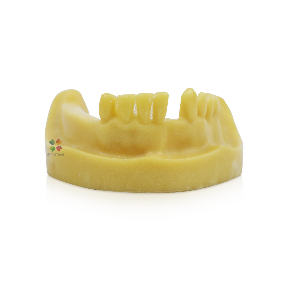 iDENTical Mandibular Implant Practicing Model M2028