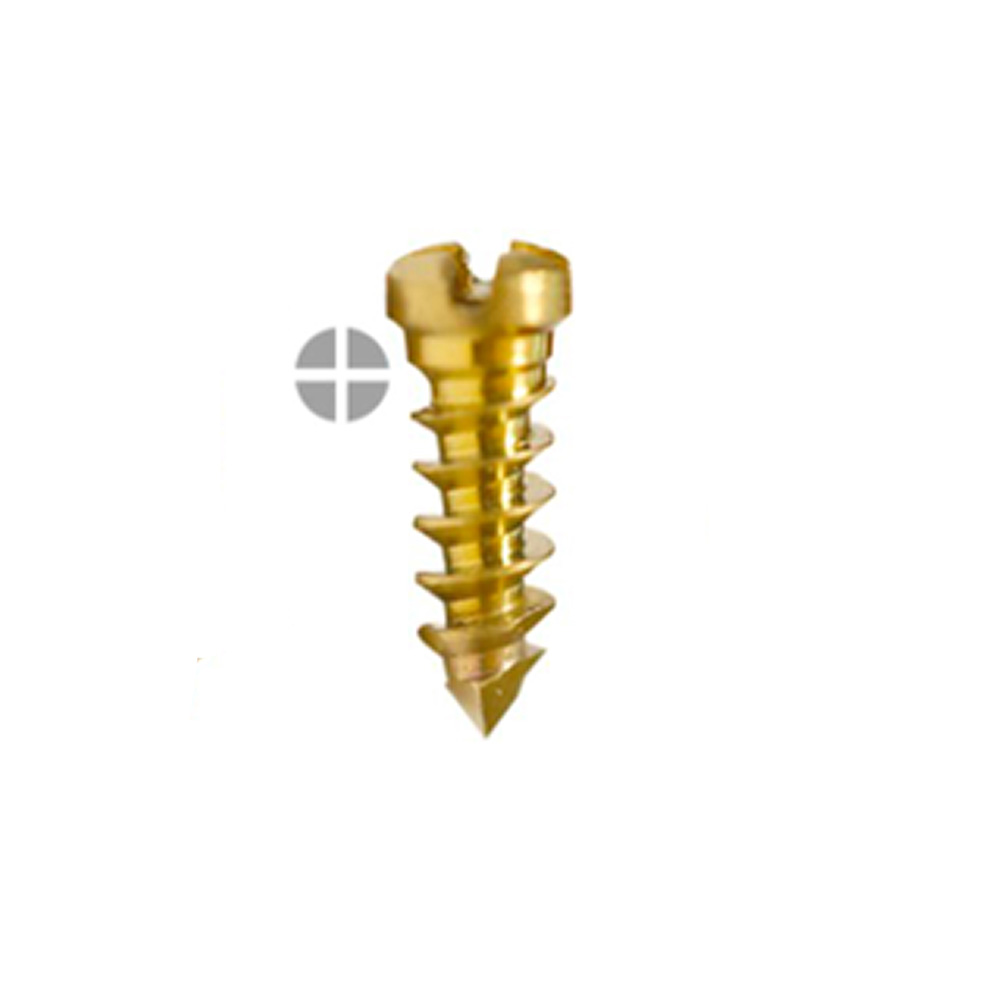 SK Surgicals Titanium Emergency Screws - 2.3mm x 10mm (23010TE)
