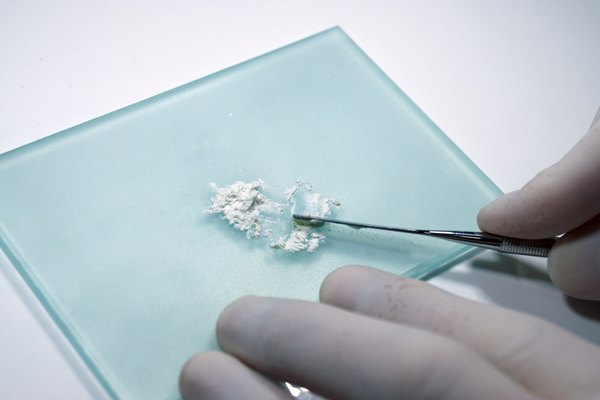 Vishal Dentocare Apiseal MTA