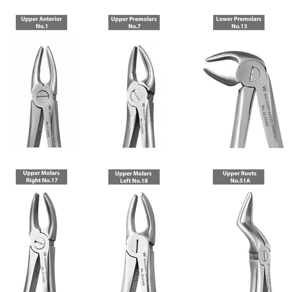 Waldent Extraction Forceps Kit Set of 12 (K1/1)     