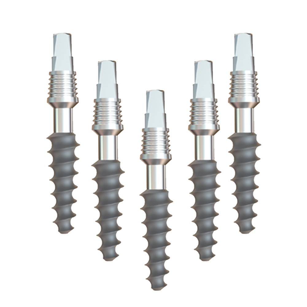 GS Implants Rough 4.2mm