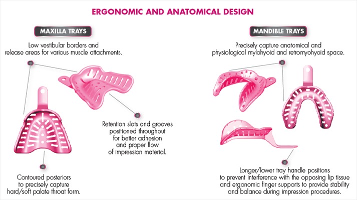 Nobilium Massad Edentulous Low Temp Tray Intro Kit Pack of 12
