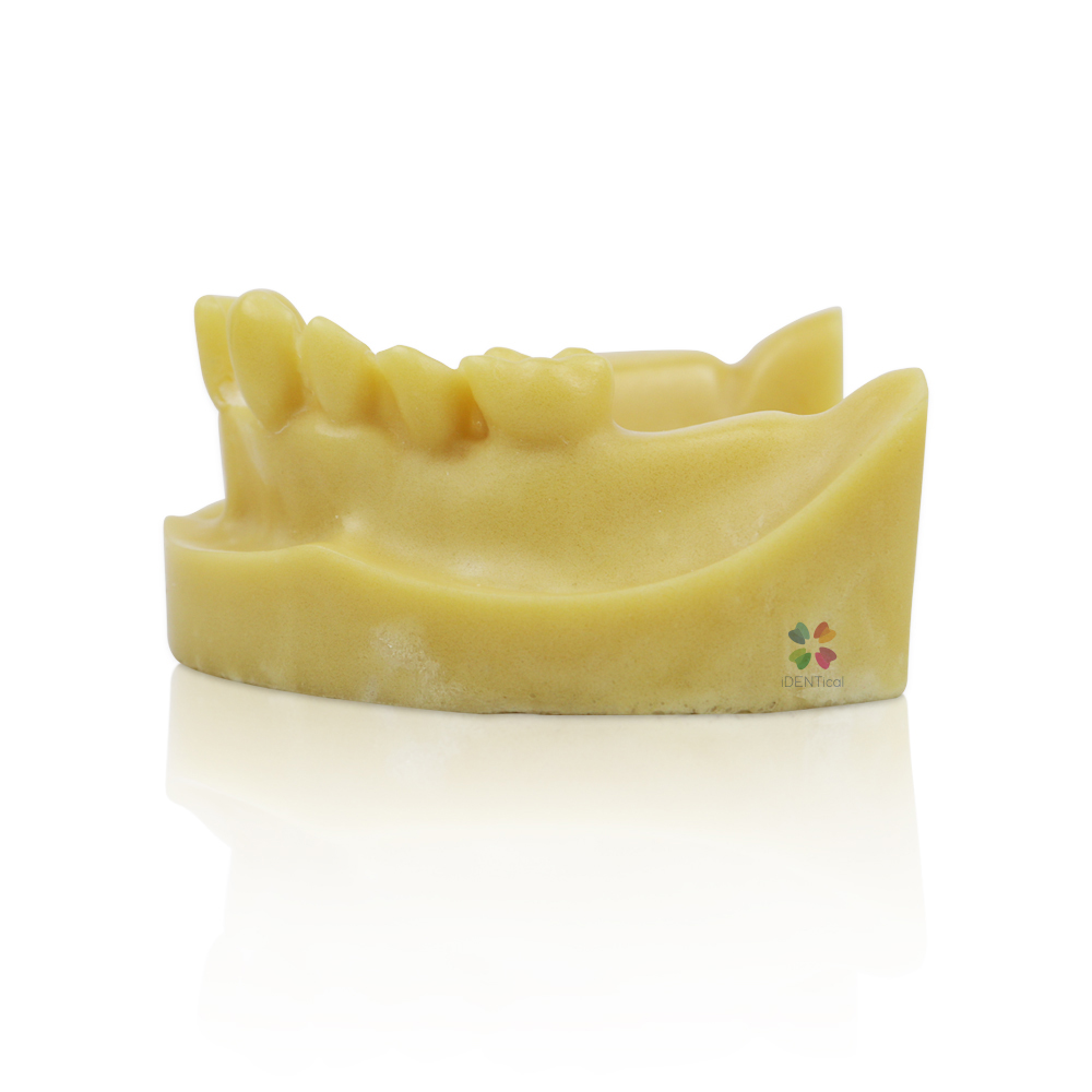 iDENTical Mandibular Implant Practicing Model M2028