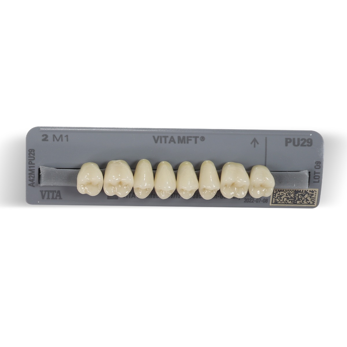 Vita MFT Denture Teeth 2M1 (Set of 28)