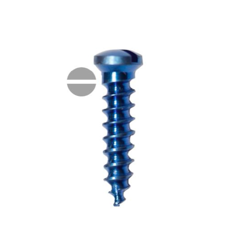 SK Surgicals Titanium Single Slot Screws - 2mm x 4mm (2004T)