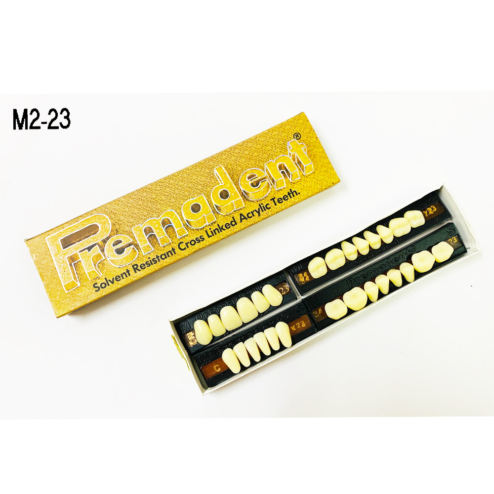Premadent Teeth Set -M2-23