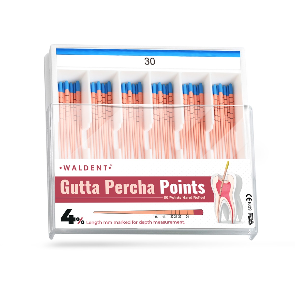Waldent Gutta Percha Points 4% (Length Marked) #30