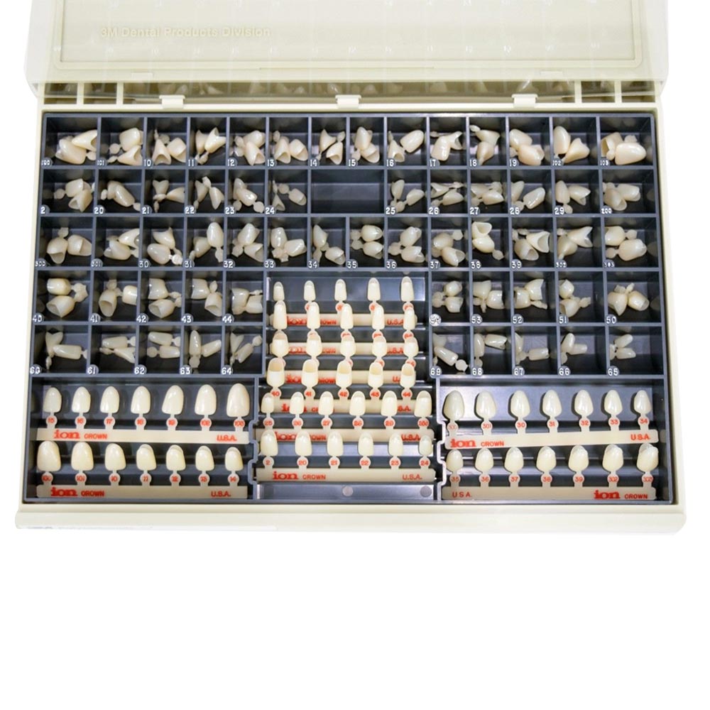 3M ESPE Polycarbonate Crowns