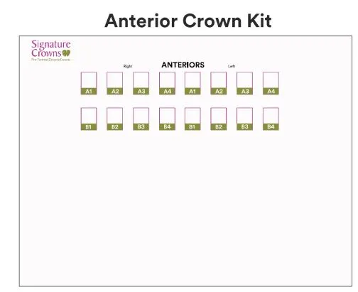 3M Paedodontic Zirconia Crowns Refills