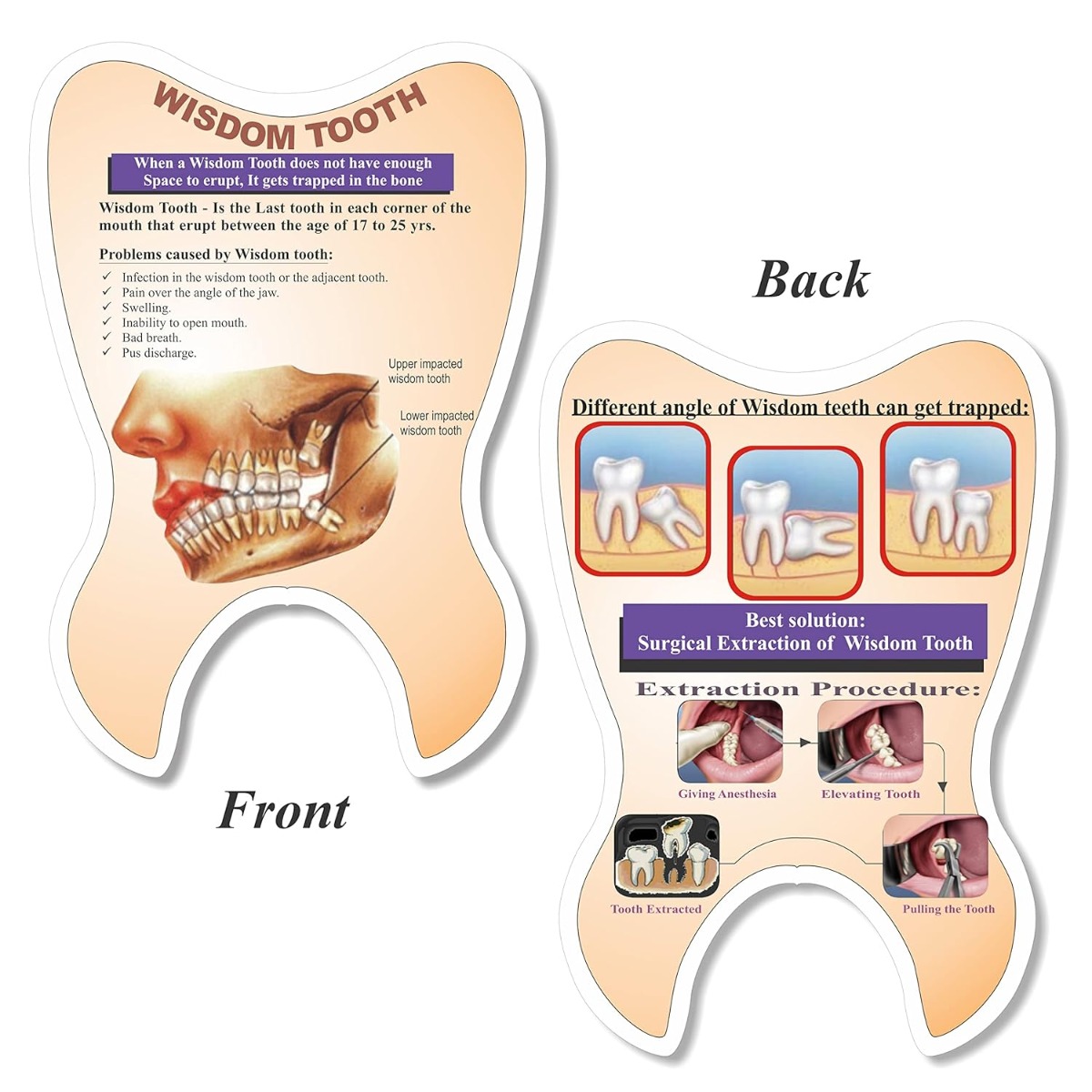 Unique Dents Tooth - Shaped Educative Pads (EP001) - Set of 4 (English)