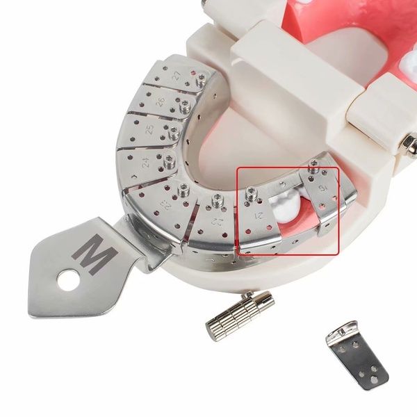 DentalPlant Stainless Steel Implant Impression Trays