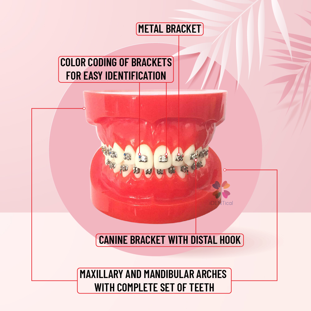 iDENTical Complete Metal Bracket Model M3001-Red