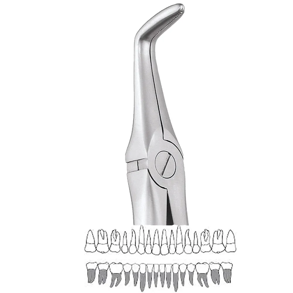 GDC Extraction Forceps Lower Roots - 845.00 Secure (SFX845.00)