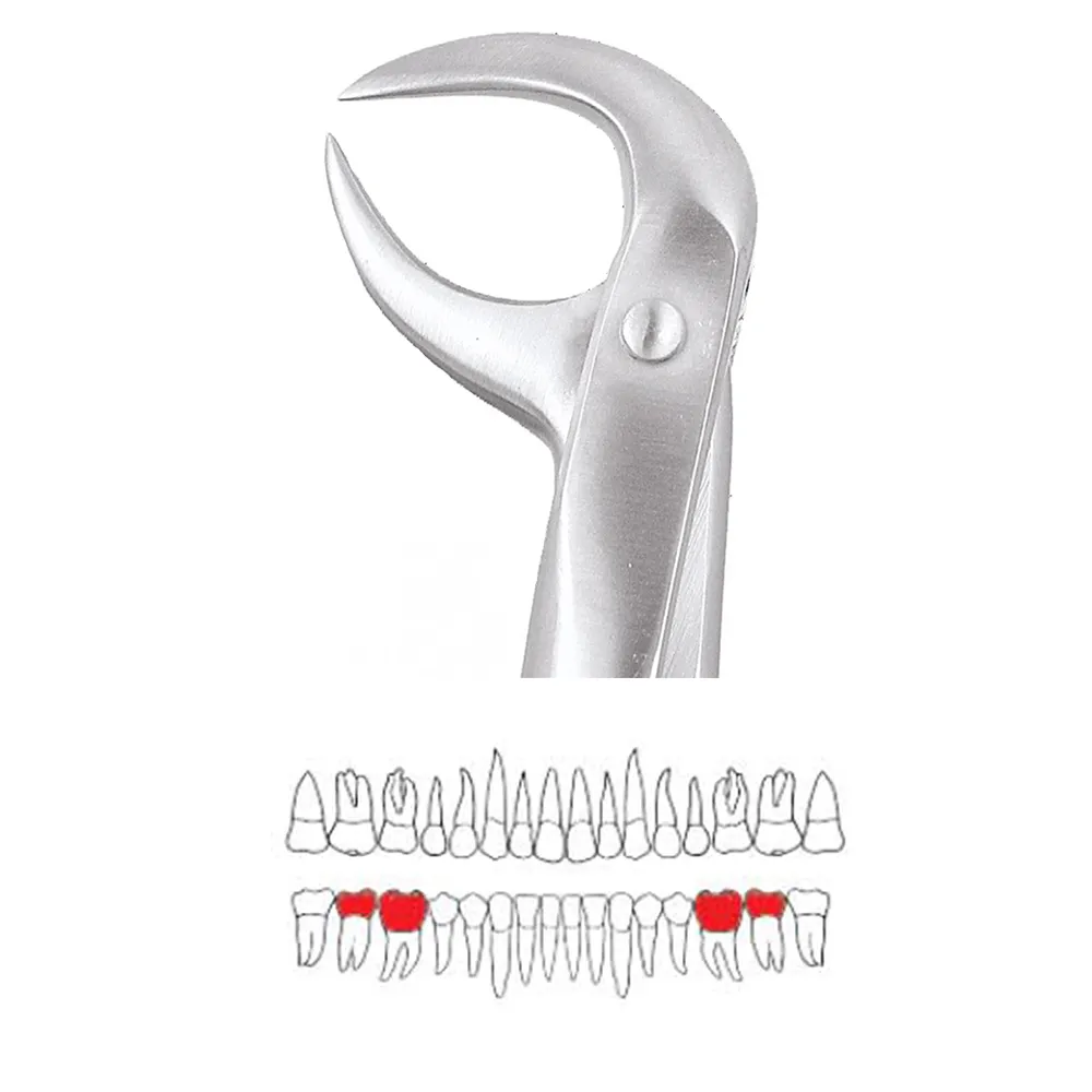 GDC Extraction Forceps Lower Molars - 86b Premium (FX86BP)