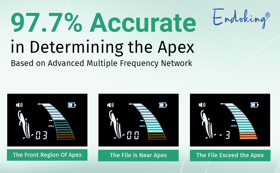 Endoking Apex Locator (Endo-Pex iii)